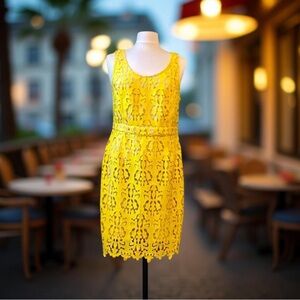 Banana Republic Yellow Lace Dress Size 12P NWT